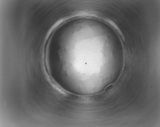 X0000081601096200701221130