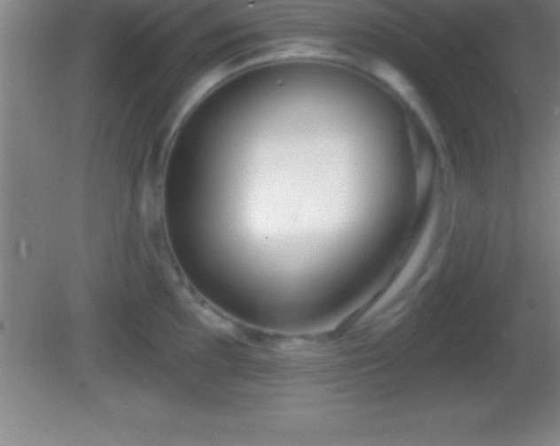 X0000081601097200701221130