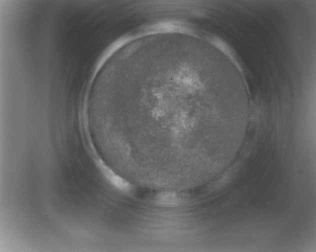 X0000081601098200701221130