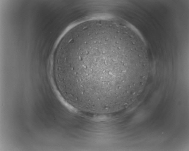 X0000081601099200701221130