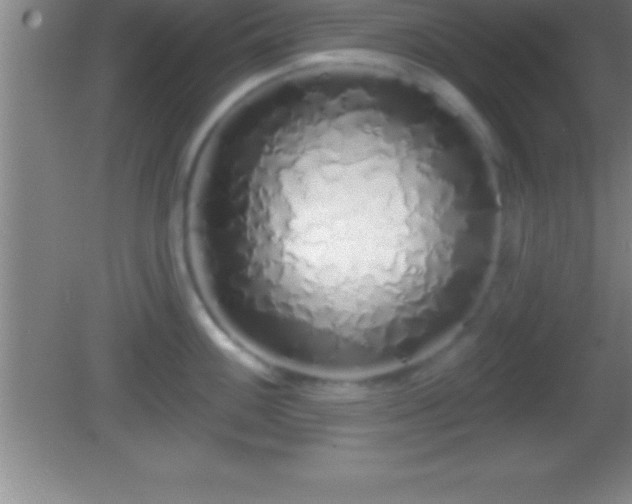 X0000081601100200701221130