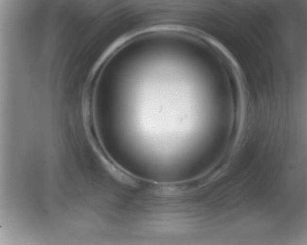 X0000081601101200701221130