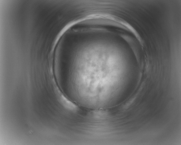 X0000081601102200701221130