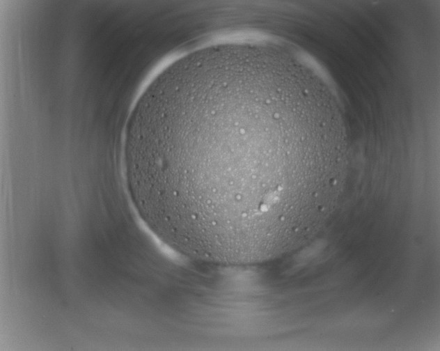 X0000081601103200701221130