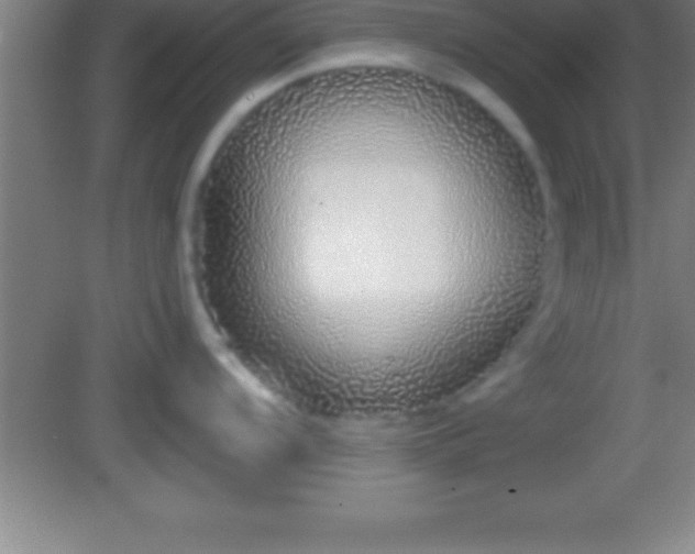 X0000081601104200701221130