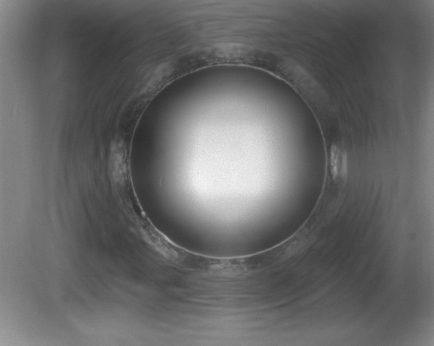 X0000081601107200701221129