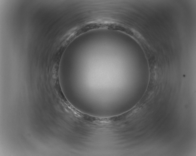 X0000081601110200701221129