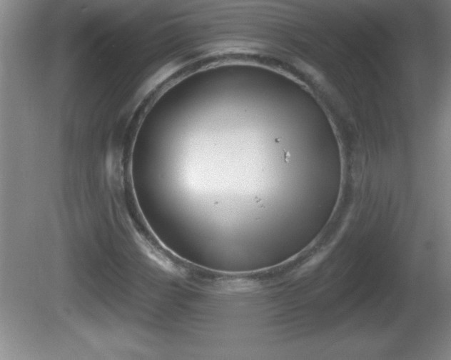 X0000081601113200701221129