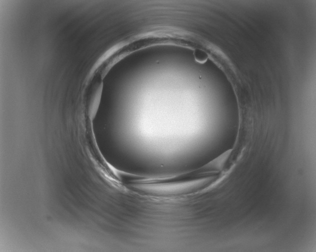 X0000081601114200701221129