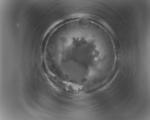 X0000081601117200701221129