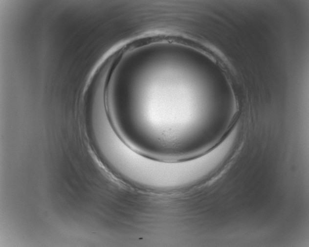 X0000081601118200701221129