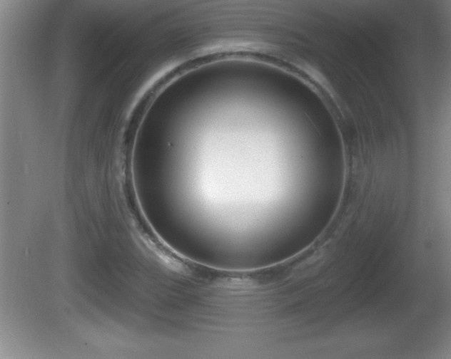 X0000081601119200701221129