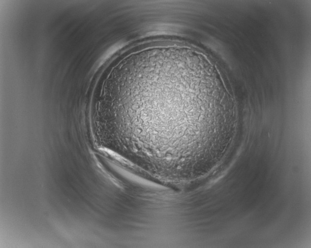 X0000081601121200701221129