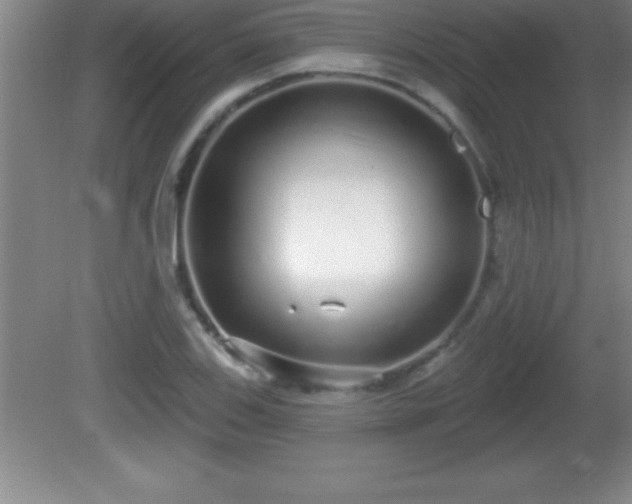 X0000081601123200701221129