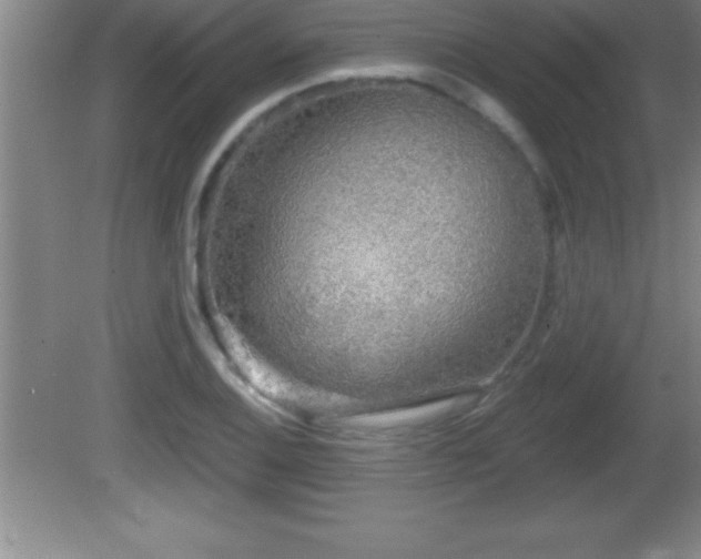 X0000081601124200701221129