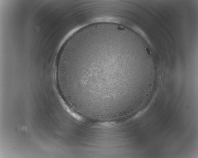 X0000081601125200701221129