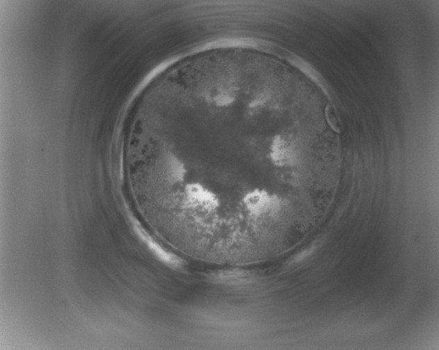 X0000081601127200701221129