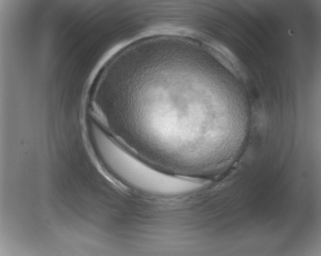 X0000081601128200701221129