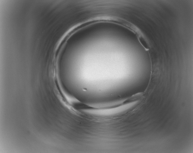 X0000081601132200701221129