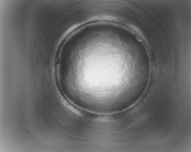 X0000081601133200701221129