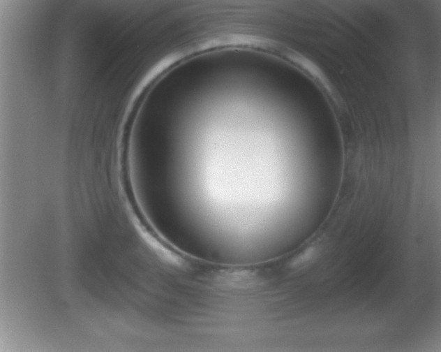 X0000081601135200701221130