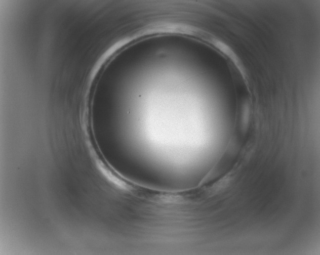 X0000081601136200701221130