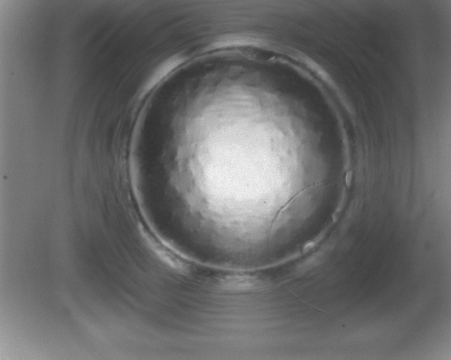 X0000081601137200701221130