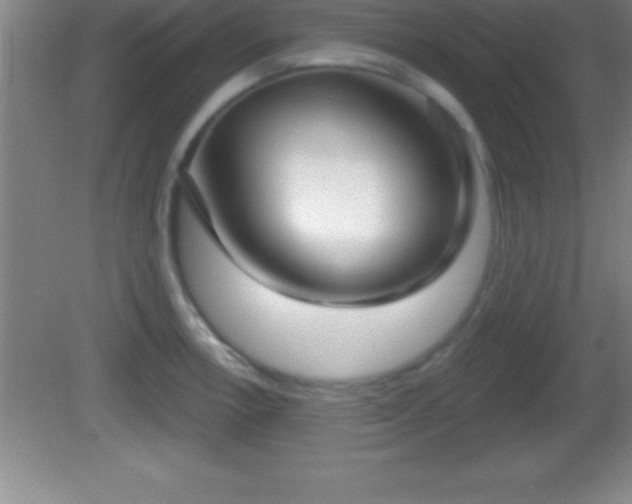 X0000081601138200701221130