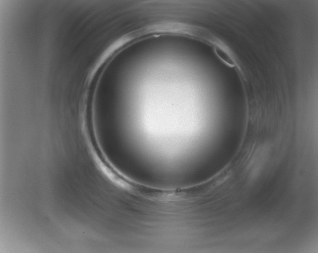 X0000081601139200701221130