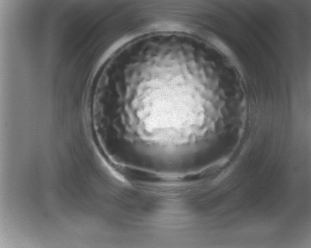 X0000081601141200701221130