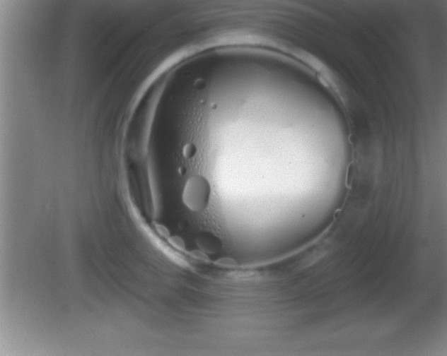 X0000081601142200701221130