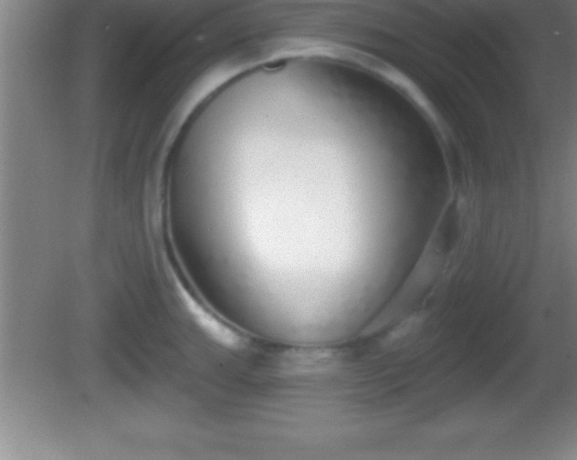 X0000081601143200701221130