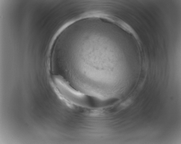 X0000081601144200701221130