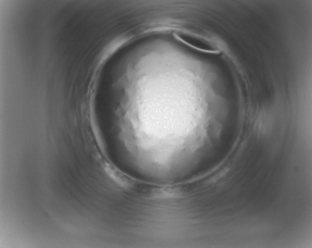 X0000081601145200701221130