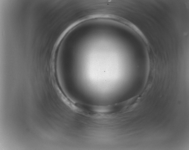 X0000081601148200701221130