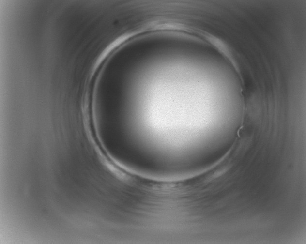 X0000081601149200701221130