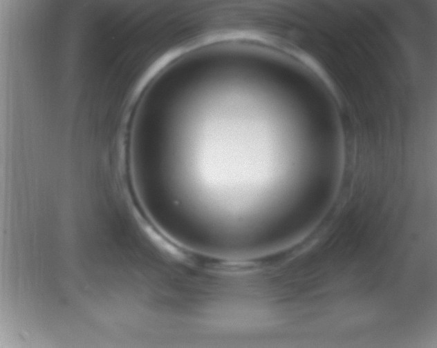 X0000081601151200701221130