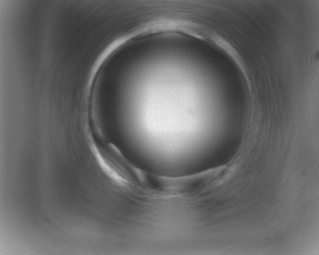 X0000081601152200701221130