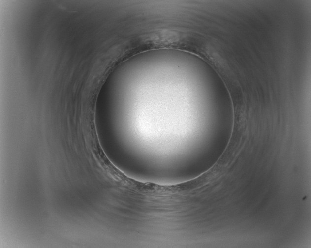 X0000081601153200701221129