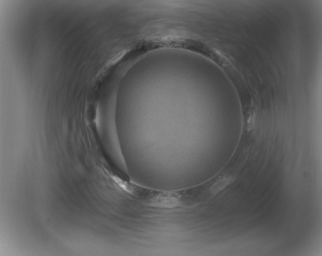 X0000081601156200701221129