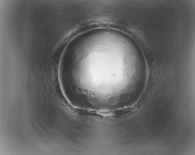 X0000081601159200701221129