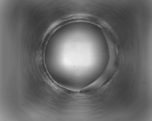 X0000081601164200701221129