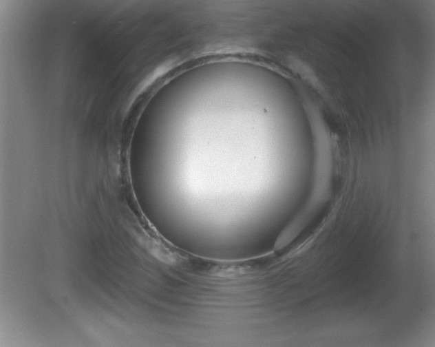 X0000081601165200701221129