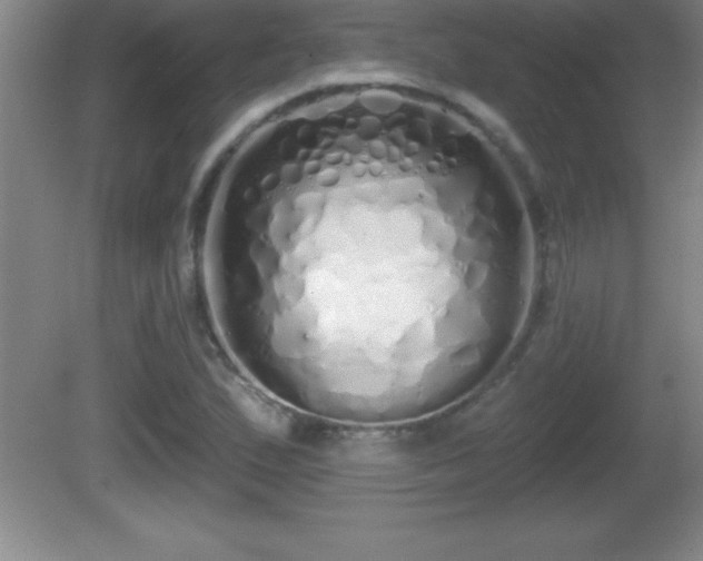 X0000081601167200701221129