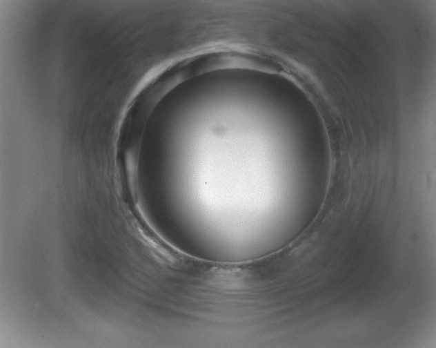 X0000081601168200701221129