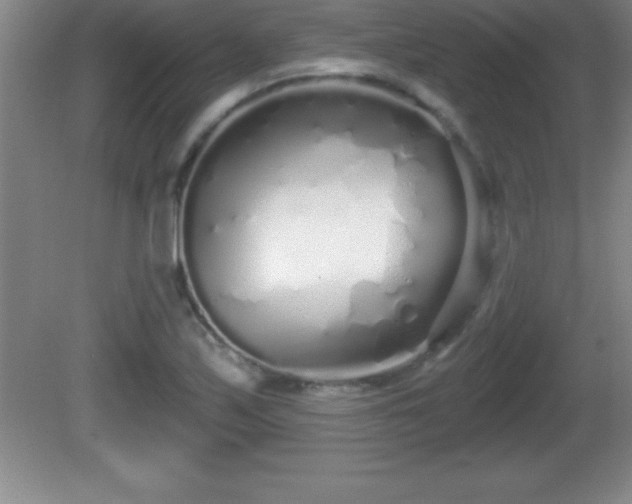 X0000081601171200701221129