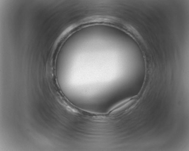 X0000081601172200701221129