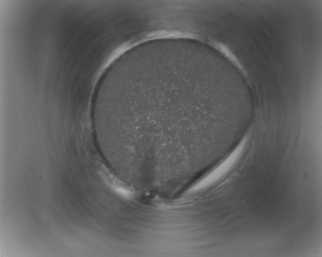 X0000081601173200701221129