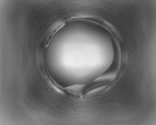 X0000081601177200701221129