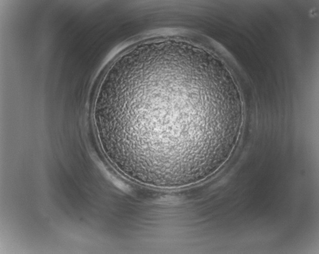 X0000081601178200701221129